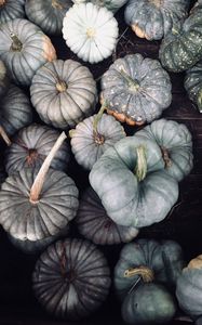 Preview wallpaper pumpkin, vegetables, gray