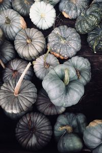 Preview wallpaper pumpkin, vegetables, gray