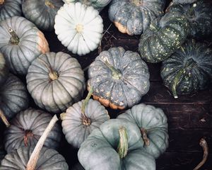 Preview wallpaper pumpkin, vegetables, gray