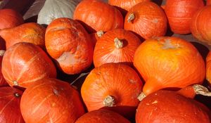 Preview wallpaper pumpkin, vegetables, many