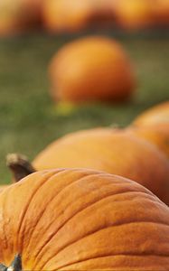 Preview wallpaper pumpkin, vegetables, orange, macro