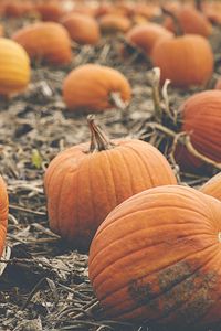 Preview wallpaper pumpkin, vegetables, orange, autumn