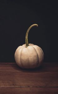 Preview wallpaper pumpkin, white, ripe, dark