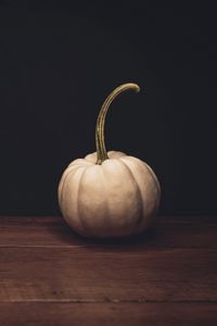 Preview wallpaper pumpkin, white, ripe, dark