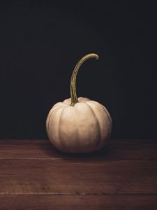 Preview wallpaper pumpkin, white, ripe, dark