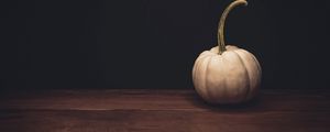 Preview wallpaper pumpkin, white, ripe, dark