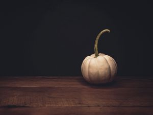 Preview wallpaper pumpkin, white, ripe, dark