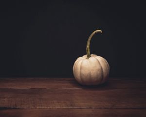 Preview wallpaper pumpkin, white, ripe, dark