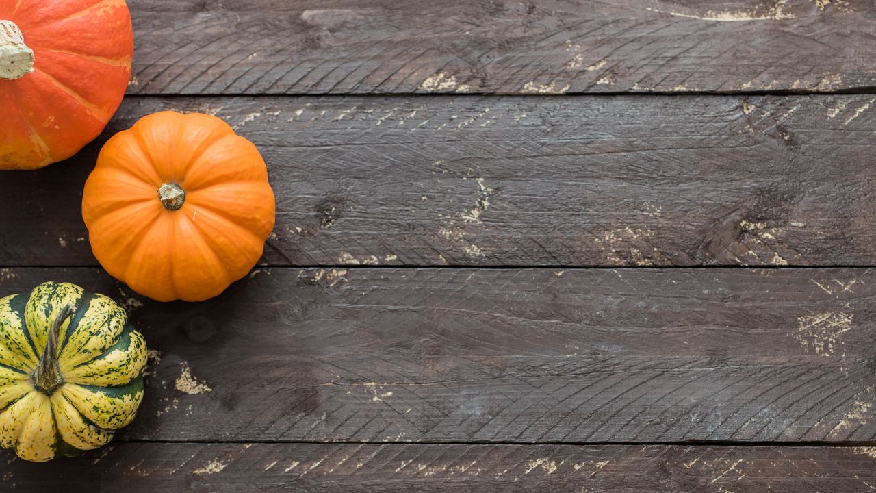 Wallpaper pumpkins, autumn, boards, wood