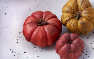 Preview wallpaper pumpkins, autumn, halloween, harvest