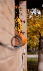 Preview wallpaper pumpkins, autumn, halloween, building