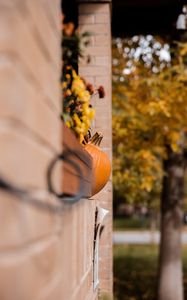 Preview wallpaper pumpkins, autumn, halloween, building