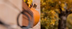 Preview wallpaper pumpkins, autumn, halloween, building