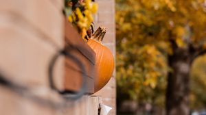 Preview wallpaper pumpkins, autumn, halloween, building