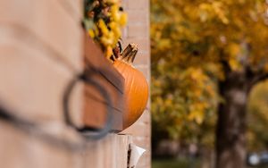 Preview wallpaper pumpkins, autumn, halloween, building