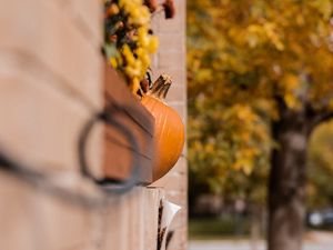 Preview wallpaper pumpkins, autumn, halloween, building