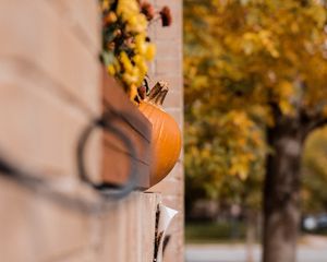 Preview wallpaper pumpkins, autumn, halloween, building