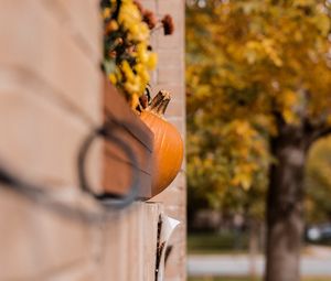 Preview wallpaper pumpkins, autumn, halloween, building