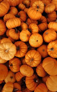 Preview wallpaper pumpkins, autumn, halloween, harvest, vegetables