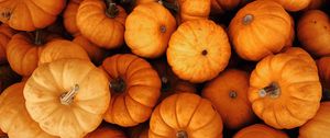 Preview wallpaper pumpkins, autumn, halloween, harvest, vegetables