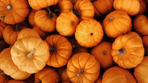 Preview wallpaper pumpkins, autumn, halloween, harvest, vegetables