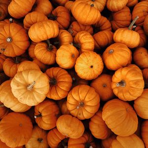 Preview wallpaper pumpkins, autumn, halloween, harvest, vegetables