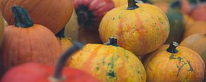 Preview wallpaper pumpkins, halloween, harvest, autumn, yellow