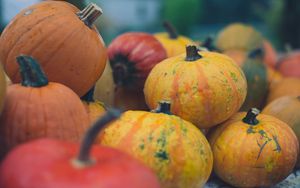 Preview wallpaper pumpkins, halloween, harvest, autumn, yellow