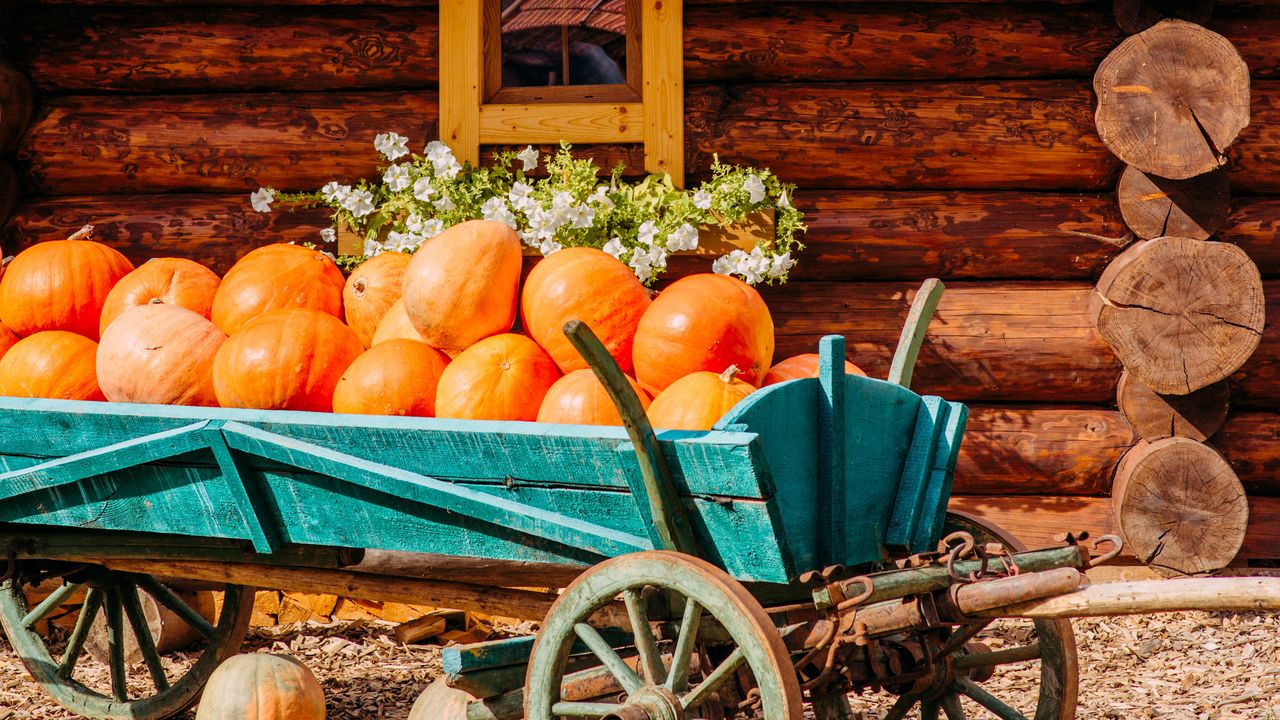 Wallpaper pumpkins, harvest, house, cart, village