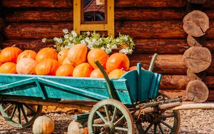 Preview wallpaper pumpkins, harvest, house, cart, village