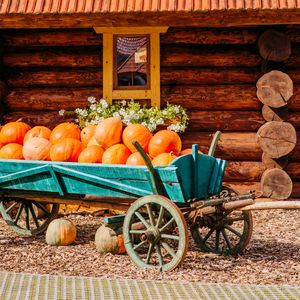 Preview wallpaper pumpkins, harvest, house, cart, village