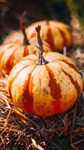 Preview wallpaper pumpkins, hay, autumn, macro