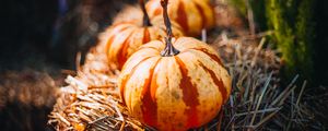 Preview wallpaper pumpkins, hay, autumn, macro