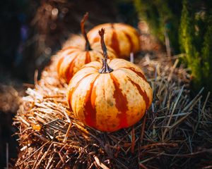 Preview wallpaper pumpkins, hay, autumn, macro