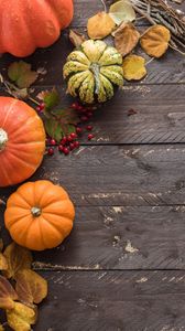 Preview wallpaper pumpkins, leaves, autumn, tree