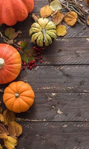 Preview wallpaper pumpkins, leaves, autumn, tree