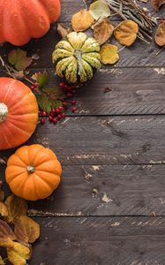 Preview wallpaper pumpkins, leaves, autumn, tree