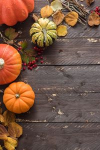 Preview wallpaper pumpkins, leaves, autumn, tree