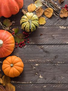 Preview wallpaper pumpkins, leaves, autumn, tree