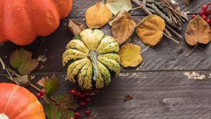 Preview wallpaper pumpkins, leaves, autumn, tree