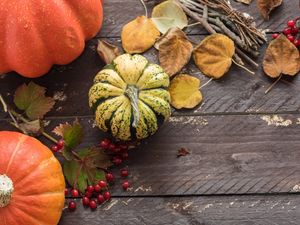 Preview wallpaper pumpkins, leaves, autumn, tree