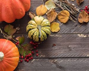 Preview wallpaper pumpkins, leaves, autumn, tree