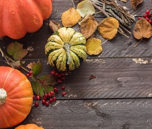 Preview wallpaper pumpkins, leaves, autumn, tree