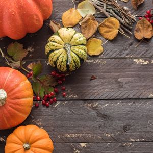 Preview wallpaper pumpkins, leaves, autumn, tree