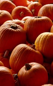 Preview wallpaper pumpkins, orange, autumn, harvest