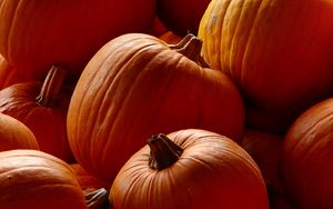 Preview wallpaper pumpkins, orange, autumn, harvest