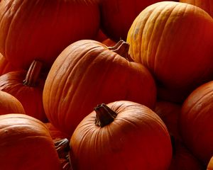 Preview wallpaper pumpkins, orange, autumn, harvest