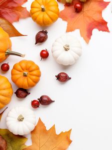 Preview wallpaper pumpkins, rose hips, berries, maple leaf, autumn, white background
