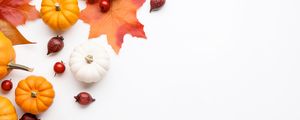 Preview wallpaper pumpkins, rose hips, berries, maple leaf, autumn, white background