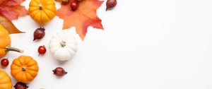 Preview wallpaper pumpkins, rose hips, berries, maple leaf, autumn, white background